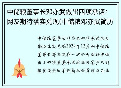 中储粮董事长邓亦武做出四项承诺：网友期待落实兑现(中储粮邓亦武简历)