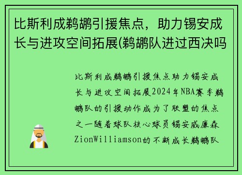 比斯利成鹈鹕引援焦点,助力锡安成长与进攻空间拓展(鹈鹕队进过西决吗)