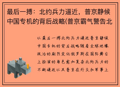最后一搏：北约兵力逼近，普京静候中国专机的背后战略(普京霸气警告北约成员国视频)